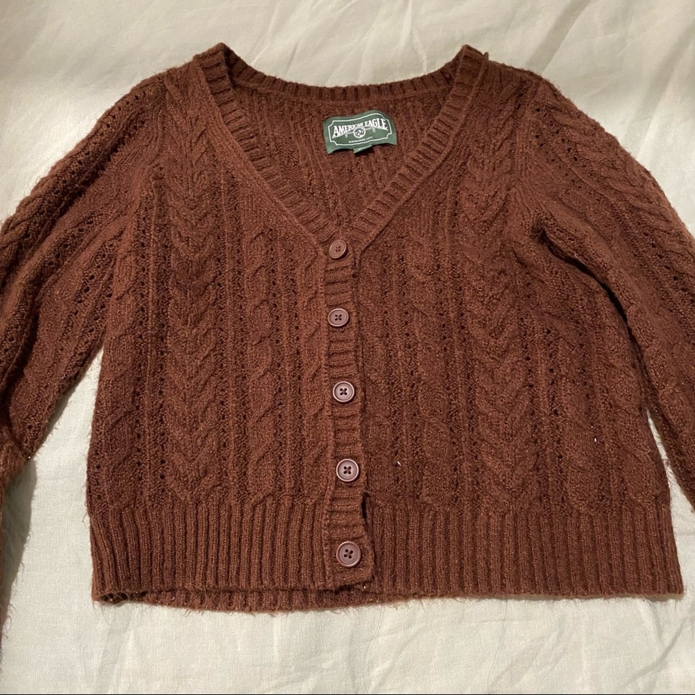 AEO Brown Button up Sweater
